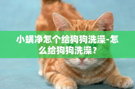 小螨凈怎個給狗狗洗澡-怎么給狗狗洗澡？