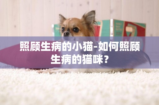 照顧生病的小貓-如何照顧生病的貓咪？