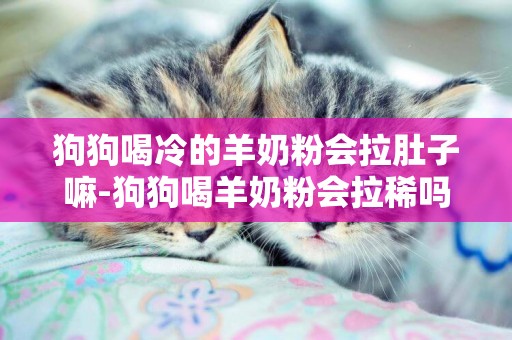 狗狗喝冷的羊奶粉會拉肚子嘛-狗狗喝羊奶粉會拉稀嗎