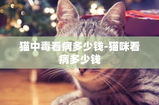 貓中毒看病多少錢-貓咪看病多少錢
