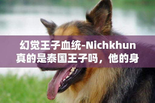 幻覺王子血統-Nichkhun真的是泰國王子嗎，他的身世是什么啊