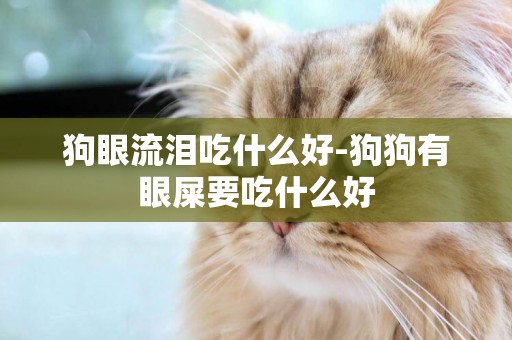 狗眼流淚吃什么好-狗狗有眼屎要吃什么好