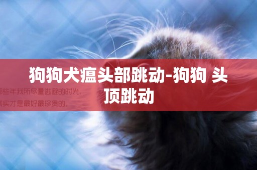 狗狗犬瘟頭部跳動-狗狗 頭頂跳動