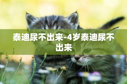 泰迪尿不出來-4歲泰迪尿不出來