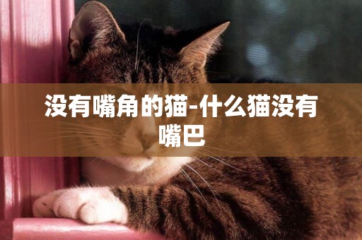 沒有嘴角的貓-什么貓沒有嘴巴