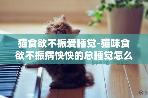 貓食欲不振愛睡覺-貓咪食欲不振病怏怏的總睡覺怎么辦