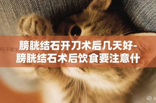 膀胱結石開刀術后幾天好-膀胱結石術后飲食要注意什么