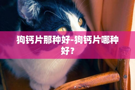 狗鈣片那種好-狗鈣片哪種好？