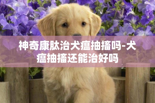 神奇康肽治犬瘟抽搐嗎-犬瘟抽搐還能治好嗎
