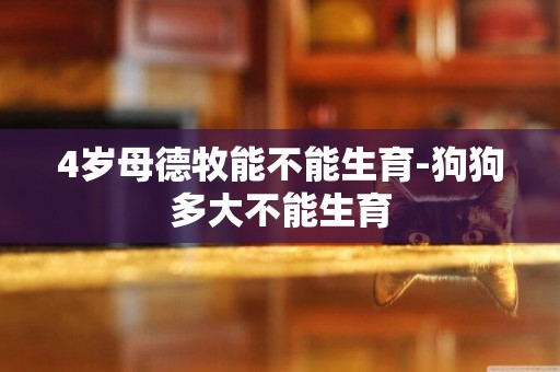 4歲母德牧能不能生育-狗狗多大不能生育