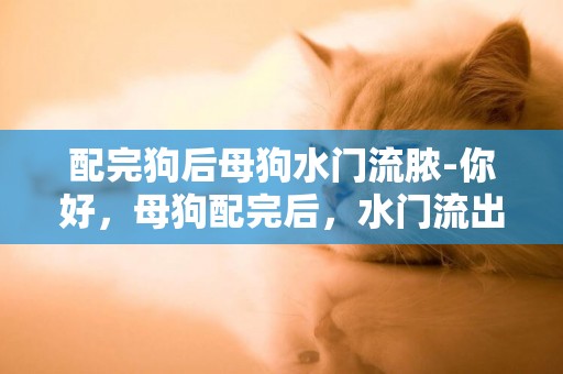 配完狗后母狗水門流膿-你好，母狗配完后，水門流出黃色液體，然后還不愛吃食，沒精神，請問是怎么了