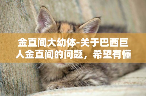 金直間大幼體-關于巴西巨人金直間的問題，希望有懂的人來為我解答。