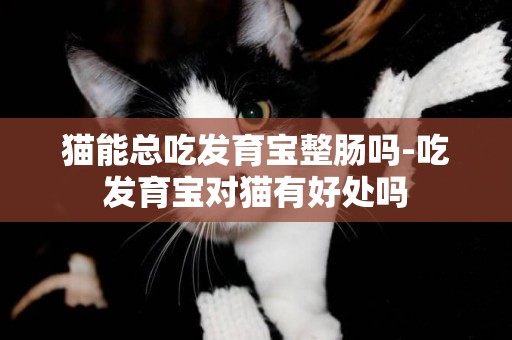 貓能總吃發育寶整腸嗎-吃發育寶對貓有好處嗎