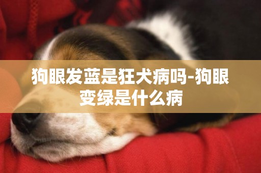 狗眼發藍是狂犬病嗎-狗眼變綠是什么病