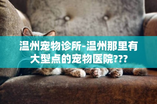 溫州寵物診所-溫州那里有大型點的寵物醫院???