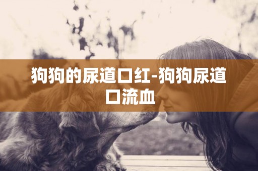 狗狗的尿道口紅-狗狗尿道口流血