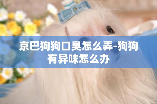 京巴狗狗口臭怎么弄-狗狗有異味怎么辦