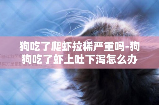 狗吃了爬蝦拉稀嚴重嗎-狗狗吃了蝦上吐下瀉怎么辦
