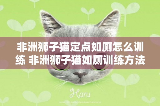 非洲獅子貓定點如廁怎么訓練 非洲獅子貓如廁訓練方法