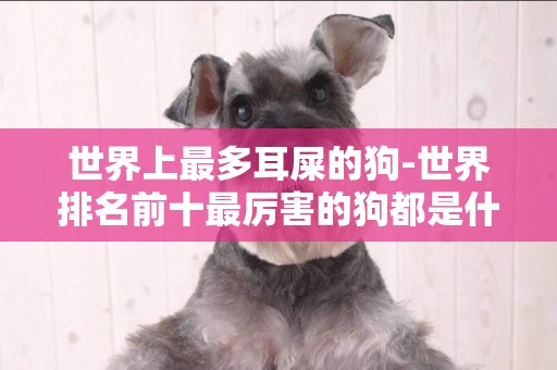 世界上最多耳屎的狗-世界排名前十最厲害的狗都是什么?