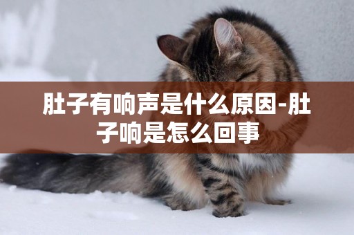 肚子有響聲是什么原因-肚子響是怎么回事