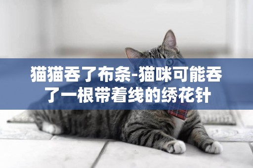 貓貓吞了布條-貓咪可能吞了一根帶著線的繡花針