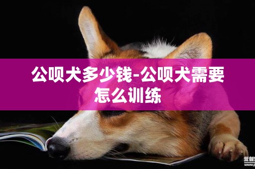 公唄犬多少錢-公唄犬需要怎么訓練
