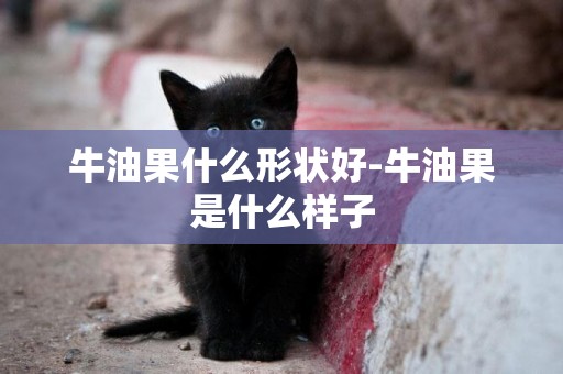 牛油果什么形狀好-牛油果是什么樣子