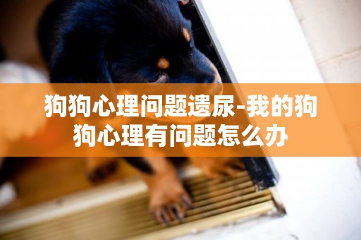 狗狗心理問題遺尿-我的狗狗心理有問題怎么辦