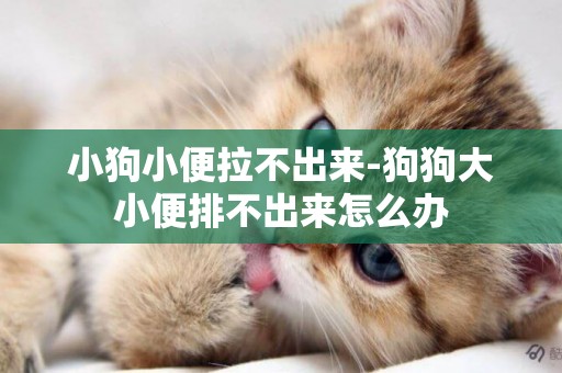 小狗小便拉不出來-狗狗大小便排不出來怎么辦