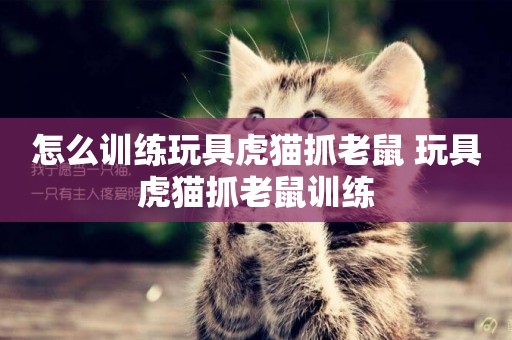 怎么訓練玩具虎貓抓老鼠 玩具虎貓抓老鼠訓練