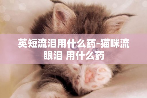 英短流淚用什么藥-貓咪流眼淚 用什么藥