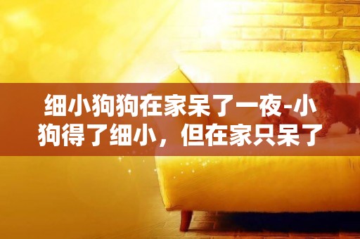 細小狗狗在家呆了一夜-小狗得了細小，但在家只呆了一個晚上，請問多久可以養