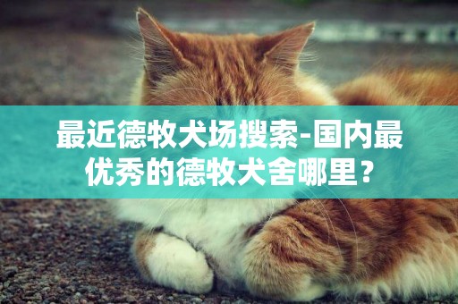 最近德牧犬場搜索-國內最優秀的德牧犬舍哪里？