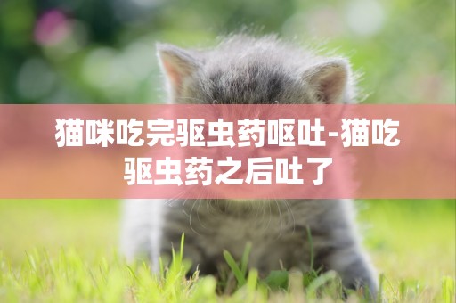 貓咪吃完驅蟲藥嘔吐-貓吃驅蟲藥之后吐了