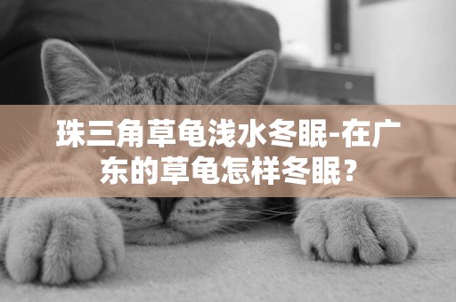 珠三角草龜淺水冬眠-在廣東的草龜怎樣冬眠？