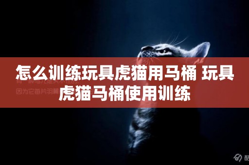 怎么訓練玩具虎貓用馬桶 玩具虎貓馬桶使用訓練