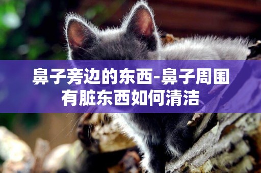 鼻子旁邊的東西-鼻子周圍有臟東西如何清潔
