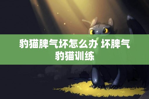 豹貓脾氣壞怎么辦 壞脾氣豹貓訓練