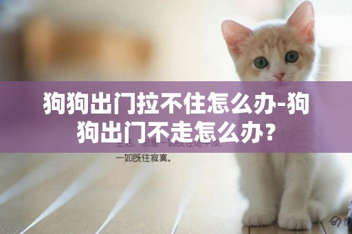 狗狗出門拉不住怎么辦-狗狗出門不走怎么辦？