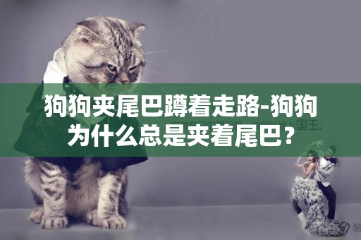狗狗夾尾巴蹲著走路-狗狗為什么總是夾著尾巴？