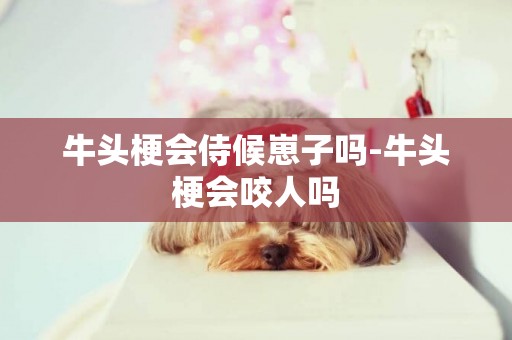 牛頭梗會侍候崽子嗎-牛頭梗會咬人嗎