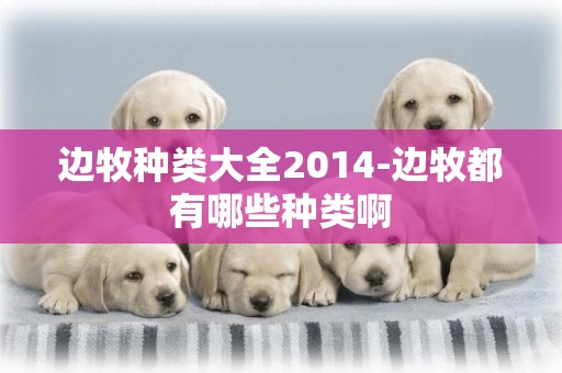 邊牧種類大全2014-邊牧都有哪些種類啊