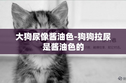 大狗尿像醬油色-狗狗拉尿是醬油色的