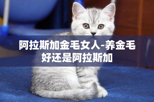阿拉斯加金毛女人-養金毛好還是阿拉斯加