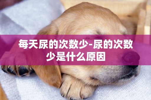 每天尿的次數少-尿的次數少是什么原因
