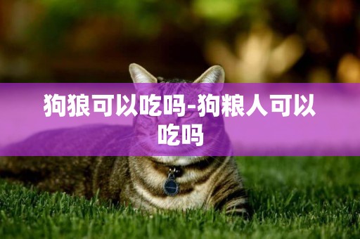 狗狼可以吃嗎-狗糧人可以吃嗎