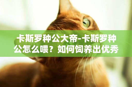 卡斯羅種公大帝-卡斯羅種公怎么喂？如何飼養出優秀的卡斯羅犬種公？