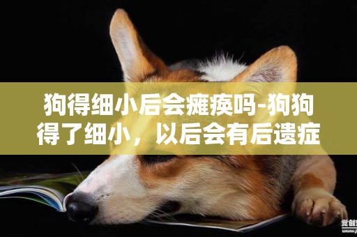 狗得細小后會癱瘓嗎-狗狗得了細小，以后會有后遺癥嗎？