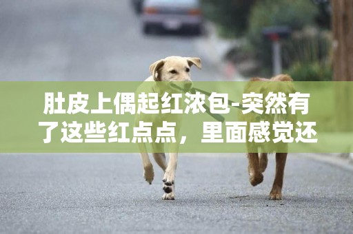 肚皮上偶起紅濃包-突然有了這些紅點點，里面感覺還有膿，長在肚皮上。請問這是什么東西